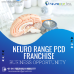 The Importance, Role, and Functionalities of PCD Pharma Franchise